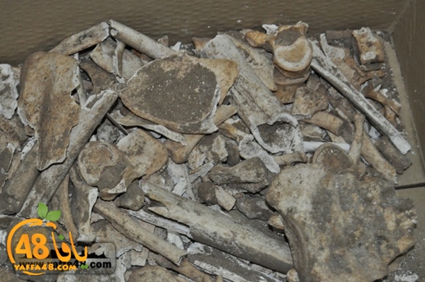 maqbara qeshleah (10).jpg